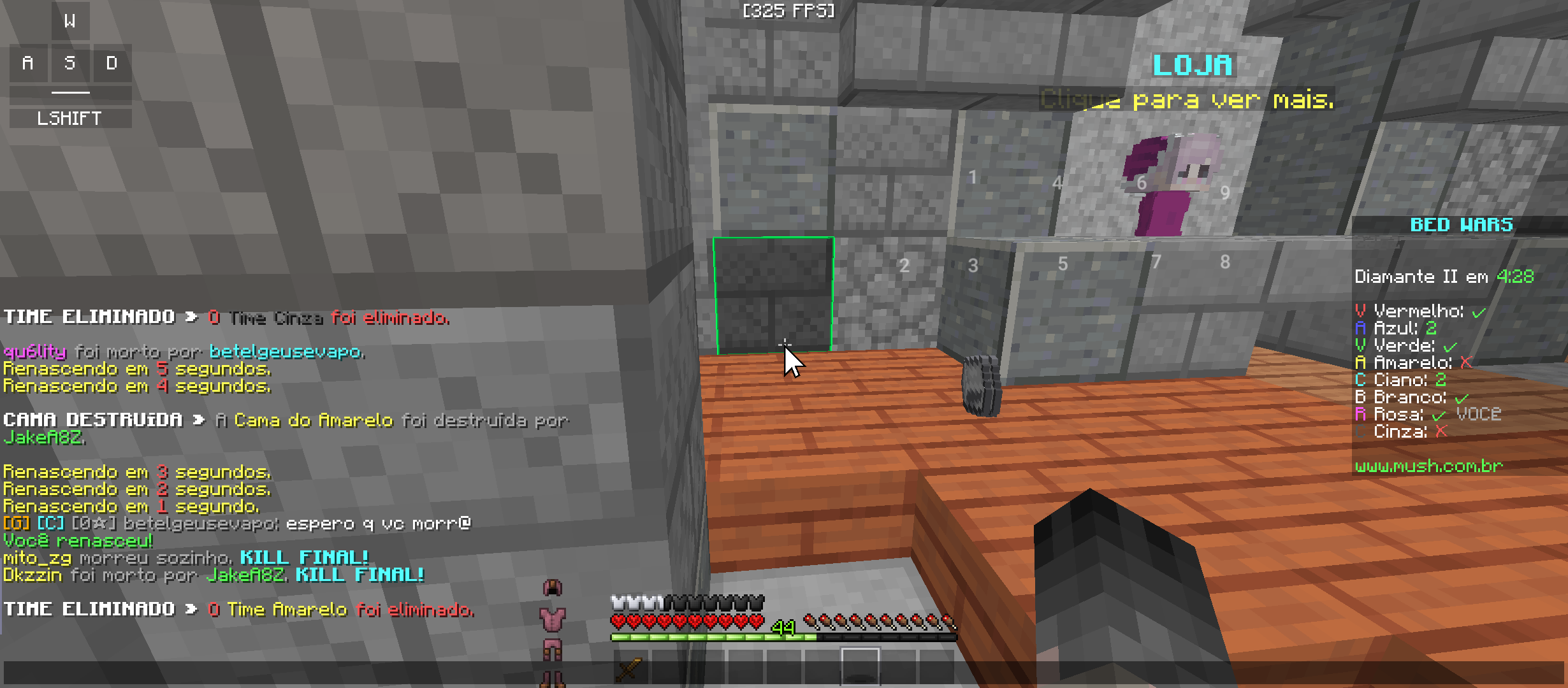 Lightshot screenshot