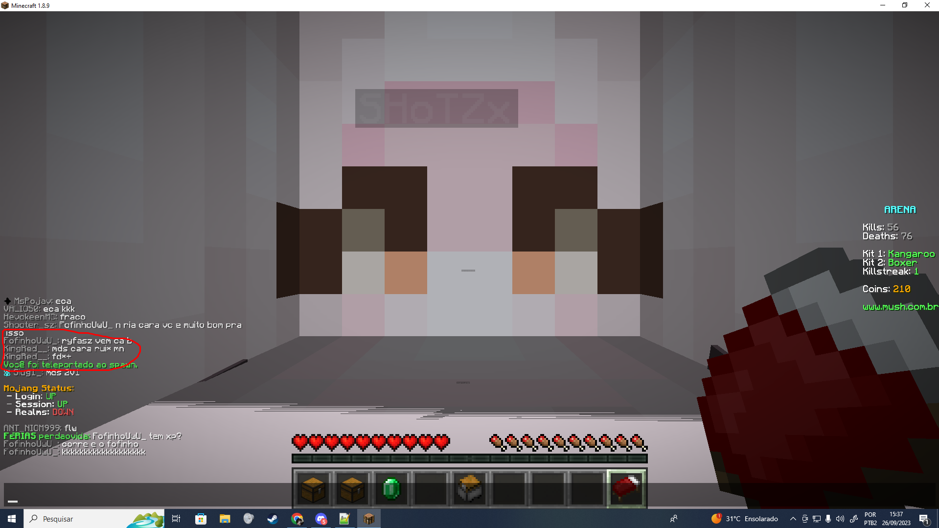 Lightshot screenshot