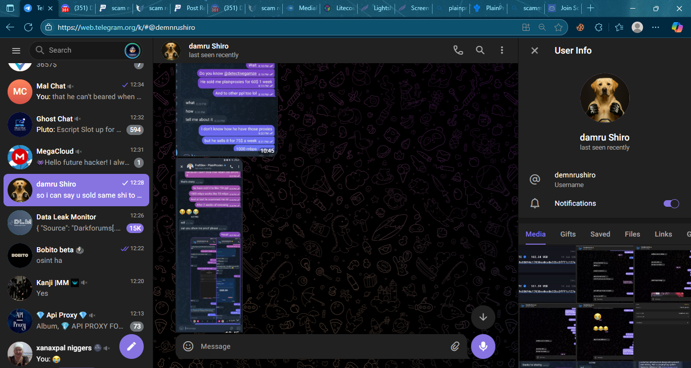 Lightshot screenshot