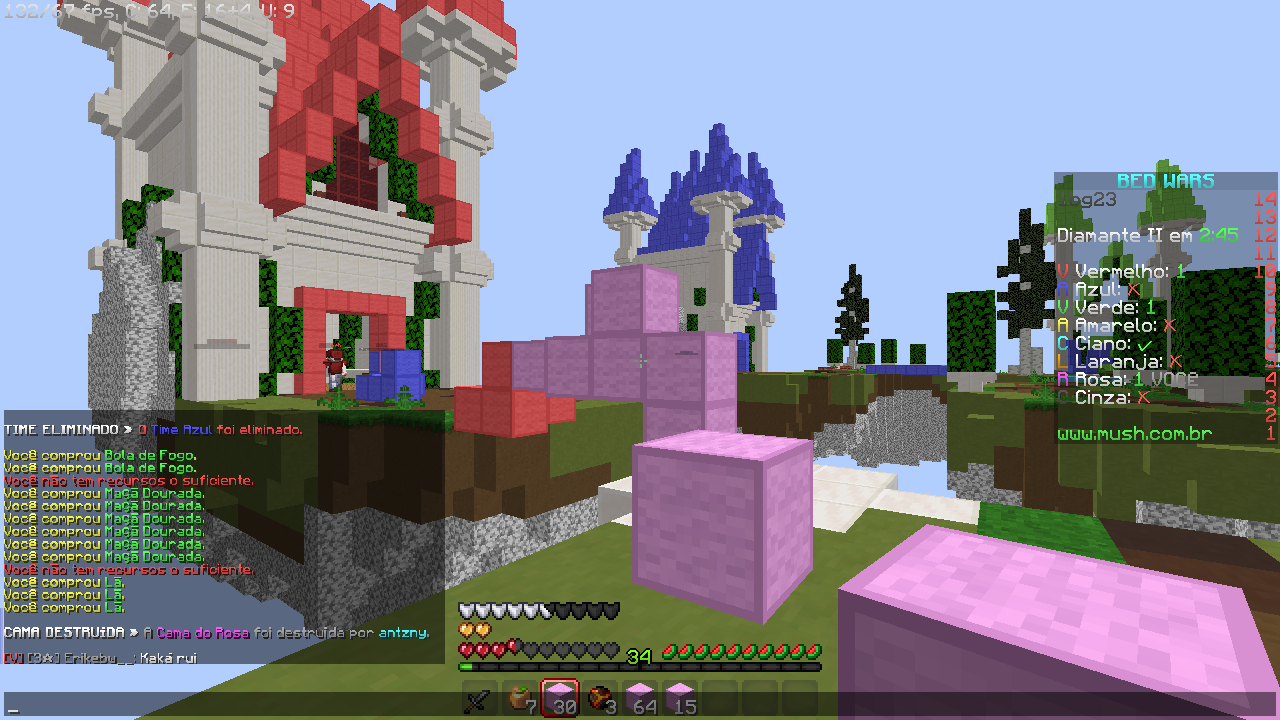 Lightshot screenshot